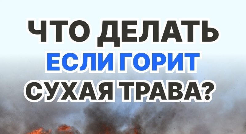 В Омской области начал действовать противопожарный режим
