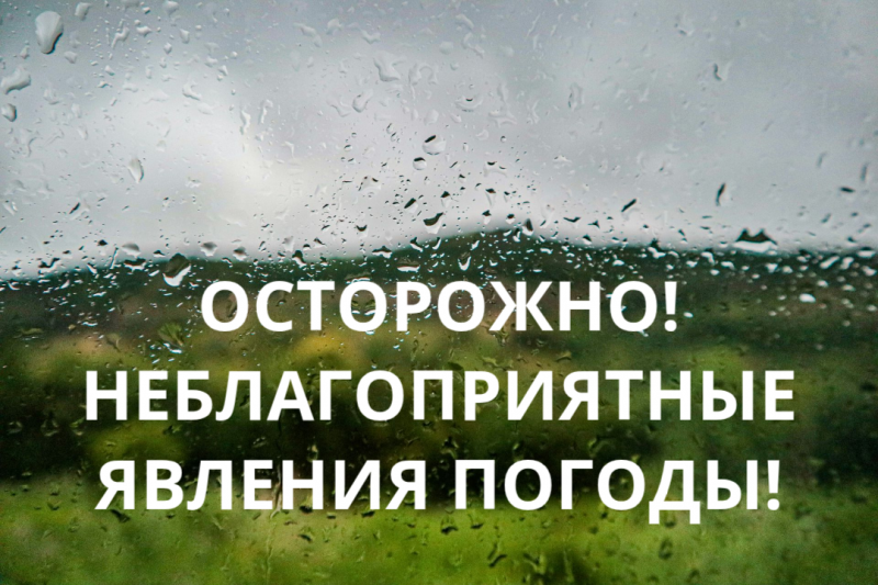 Внимание! Ливень, гроза, шквалистый ветер!