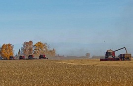 На полях Омского района продолжается сбор урожая