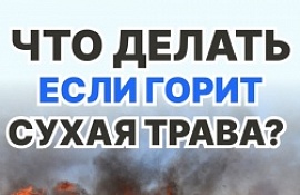В Омской области начал действовать противопожарный режим